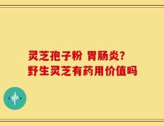 灵芝孢子粉 胃肠炎？野生灵芝有药用价值吗