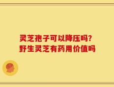 灵芝孢子可以降压吗？野生灵芝有药用价值吗