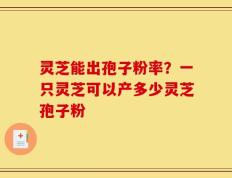灵芝能出孢子粉率？一只灵芝可以产多少灵芝孢子粉