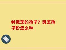 种灵芝的孢子？灵芝孢子粉怎么种
