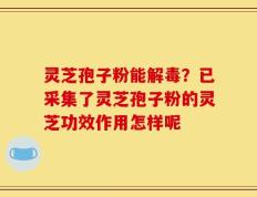 灵芝孢子粉能解毒？已采集了灵芝孢子粉的灵芝功效作用怎样呢