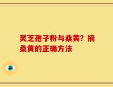 灵芝孢子粉与桑黄？摘桑黄的正确方法