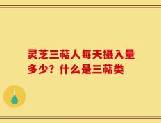 灵芝三萜人每天摄入量多少？什么是三萜类