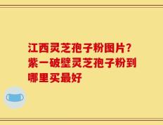 江西灵芝孢子粉图片？紫一破壁灵芝孢子粉到哪里买最好
