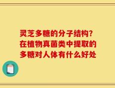 灵芝多糖的分子结构？在植物真菌类中提取的多糖对人体有什么好处