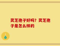 灵芝孢子好吗？灵芝孢子是怎么样的