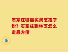 石家庄哪里买灵芝孢子粉？石家庄到林芝怎么走最方便