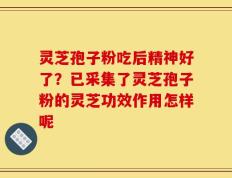 灵芝孢子粉吃后精神好了？已采集了灵芝孢子粉的灵芝功效作用怎样呢