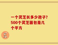 一个灵芝长多少孢子？500个灵芝菌包是几个平方