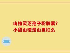 山楂灵芝孢子粉胶囊？小甜山楂是山里红么