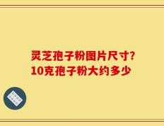 灵芝孢子粉图片尺寸？10克孢子粉大约多少