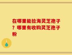 在哪里能捡海灵芝孢子？哪里有收购灵芝孢子粉