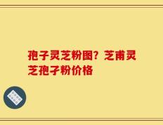 孢子灵芝粉图？芝甫灵芝孢孑粉价格