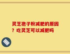 灵芝孢子粉减肥的原因？吃灵芝可以减肥吗