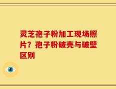 灵芝孢子粉加工现场照片？孢子粉破壳与破壁区别