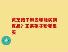 灵芝孢子粉去哪能买到真品？正宗孢子粉哪里买