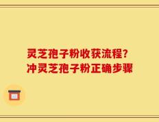 灵芝孢子粉收获流程？冲灵芝孢子粉正确步骤