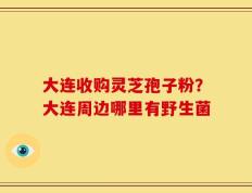大连收购灵芝孢子粉？大连周边哪里有野生菌