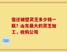宿迁破壁灵芝多少钱一瓶？山东最大的灵芝加工，收购公司