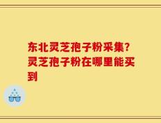 东北灵芝孢子粉采集？灵芝孢子粉在哪里能买到