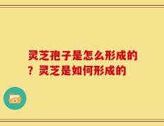 灵芝孢子是怎么形成的？灵芝是如何形成的