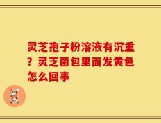 灵芝孢子粉溶液有沉重？灵芝菌包里面发黄色怎么回事
