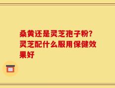 桑黄还是灵芝孢子粉？灵芝配什么服用保健效果好