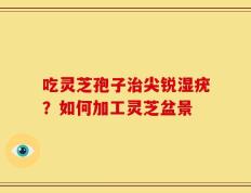 吃灵芝孢子治尖锐湿疣？如何加工灵芝盆景