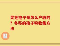 灵芝孢子是怎么产收的？冬荪的孢子粉收集方法