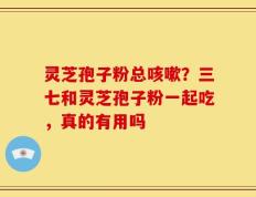 灵芝孢子粉总咳嗽？三七和灵芝孢子粉一起吃，真的有用吗