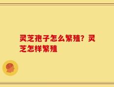 灵芝孢子怎么繁殖？灵芝怎样繁殖