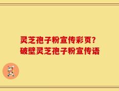 灵芝孢子粉宣传彩页？破壁灵芝孢子粉宣传语