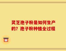 灵芝孢子粉是如何生产的？孢子粉种植全过程