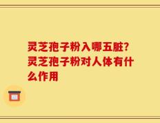 灵芝孢子粉入哪五脏？灵芝孢子粉对人体有什么作用