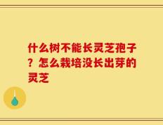什么树不能长灵芝孢子？怎么栽培没长出芽的灵芝