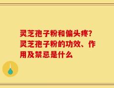 灵芝孢子粉和偏头疼？灵芝孢子粉的功效、作用及禁忌是什么