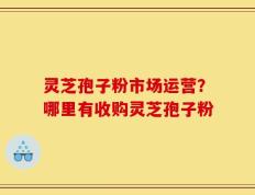 灵芝孢子粉市场运营？哪里有收购灵芝孢子粉