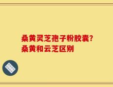 桑黄灵芝孢子粉胶囊？桑黄和云芝区别