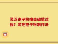 灵芝孢子粉撞击破壁过程？灵芝孢子粉制作法