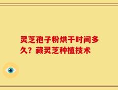 灵芝孢子粉烘干时间多久？藏灵芝种植技术