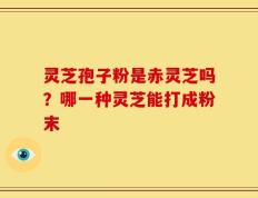 灵芝孢子粉是赤灵芝吗？哪一种灵芝能打成粉末
