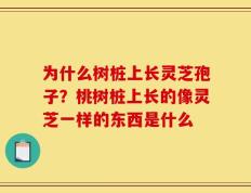 为什么树桩上长灵芝孢子？桃树桩上长的像灵芝一样的东西是什么