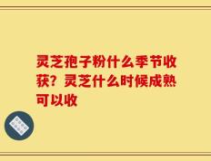 灵芝孢子粉什么季节收获？灵芝什么时候成熟可以收