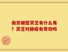 南京破壁灵芝有什么用？灵芝对肺癌有奇效吗