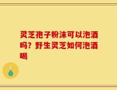 灵芝孢子粉沫可以泡酒吗？野生灵芝如何泡酒喝
