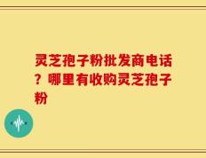 灵芝孢子粉批发商电话？哪里有收购灵芝孢子粉