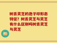 树舌灵芝的孢子印形态特征？树舌灵芝与灵芝有什么区别吗树舌灵芝与灵芝