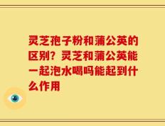 灵芝孢子粉和蒲公英的区别？灵芝和蒲公英能一起泡水喝吗能起到什么作用