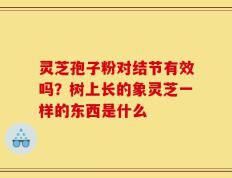 灵芝孢子粉对结节有效吗？树上长的象灵芝一样的东西是什么