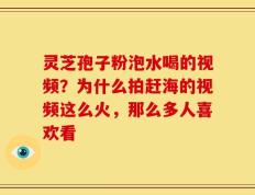 灵芝孢子粉泡水喝的视频？为什么拍赶海的视频这么火，那么多人喜欢看